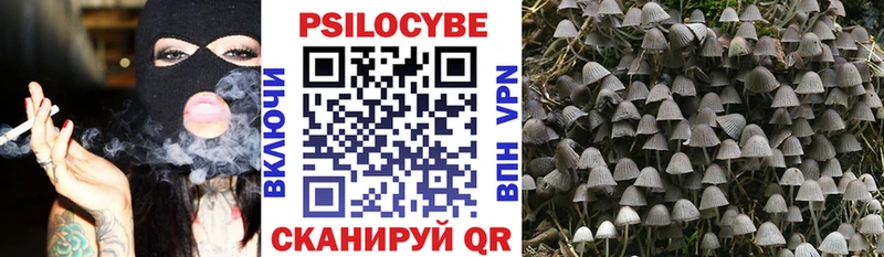 Купить закладки  Павловская  Псилоцибиновые грибы мухоморы 